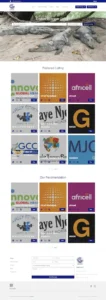 Briliant Business Listing WordPress Directory Website Build