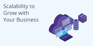 Scalability-to-Grow-with-Your-Business-custom-wordpress-website